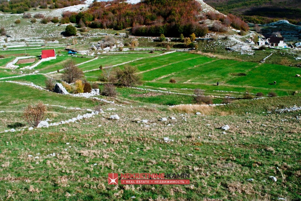 Plac od 4.307 m² u srcu Nacionalnog parka Lovćen